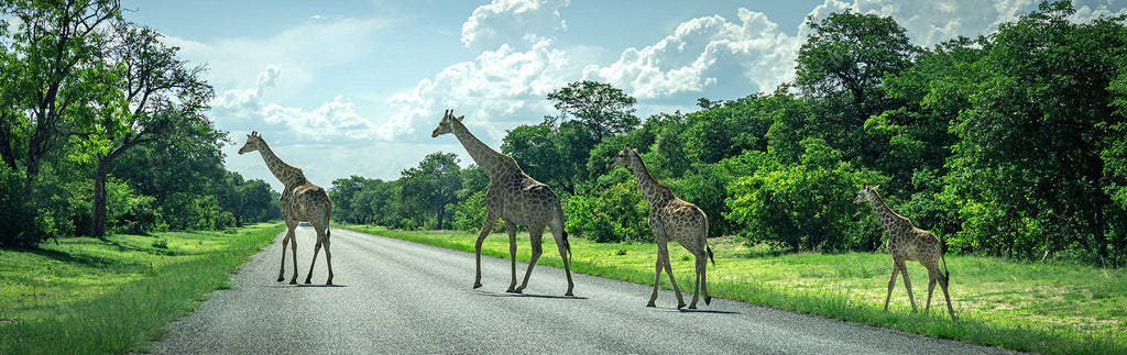 Expedice Namibie 2025